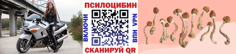 Купить  Североморск  Галлюциногенные грибы MAGIC MUSHROOMS 